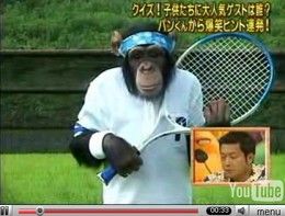 Singe